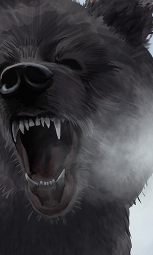 direbear-cu.jpg