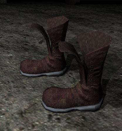 boots1.jpg