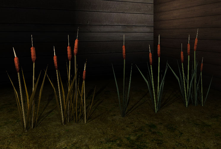 cattails.jpg